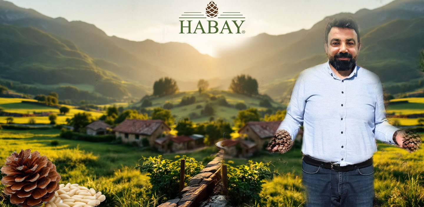 HABAY GIDA