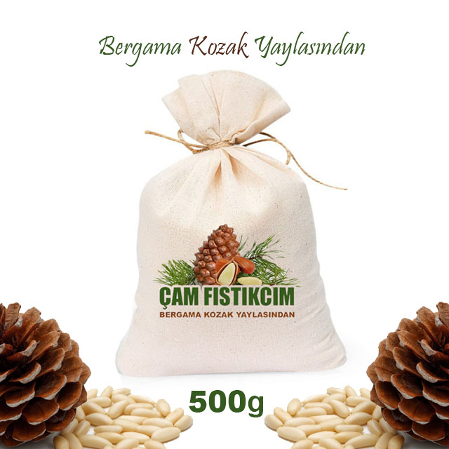 ÇAM FISTIĞI 500 g